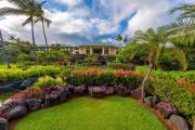 Top Koloa