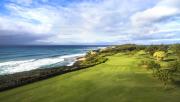 Top Koloa
