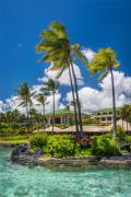 Top Koloa