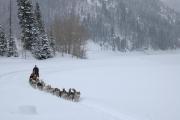 Top Park City