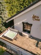 Top Poiana Brasov