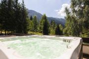 Top Poiana Brasov