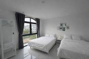 Mongol homestay