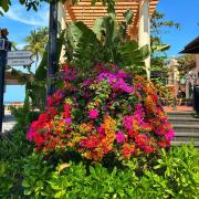 Top Phu Quoc