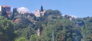 Top Koper