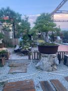 Top Hoi An