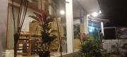 green forest homestay