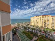 Top Torrox