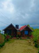 Top Pedong