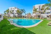Top Torre-Pacheco