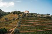 Top Vila Marim