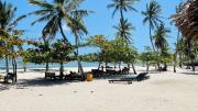 Top Kwale