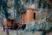 Top Radomierowice