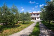 Top Vrbnik