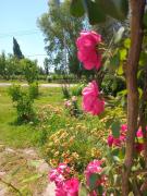 Cabaña Entre Frutales