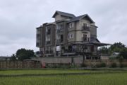Top Ziro