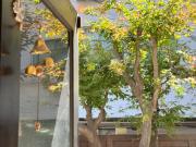 HONGDAE Private House 6Room 4Bath 10beds