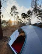 Top Dandeli