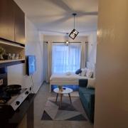 Amani Nest Superior Studio Apartment Tsavo Sentinel
