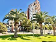 Top Viña del Mar