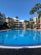 Top Palm-mar