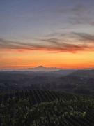 Agriturismo Tenuta ENA