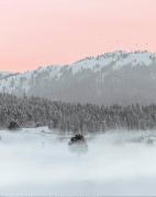 Top Gulmarg