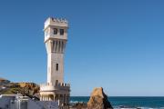 Top Santa Cruz