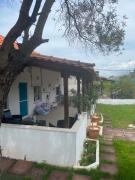 Top Nea Plagia