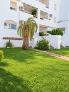 Top San Javier