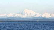 Top White Rock