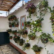 Top Guaduas