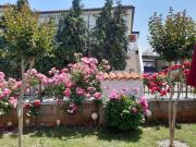 Top Novigrad Istria
