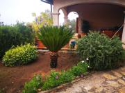 Top Mancor del Valle Top Mancor del Valle
