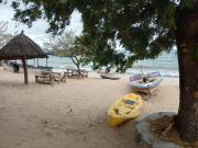 Top Monkey Bay Top Monkey Bay
