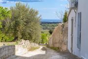 Top Noto