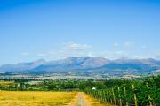 Top Paarl