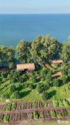 TRỊ AN RETREAT- làng nghĩ dưỡng ven Hồ Trị An