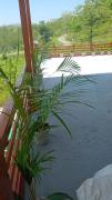 Top Kandogal