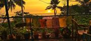 Top Alleppey