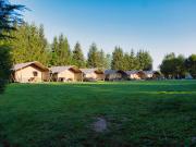 Top Osečná