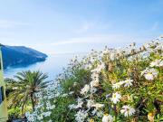 Top Corniglia