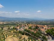 Top Pergine Valdarno