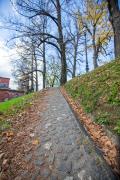 Top Lucca