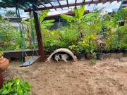 บ้านอุดมพงฟาร์มสเตย์ อุดรธานี