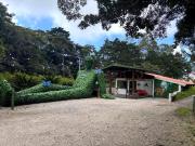 Top Monteverde