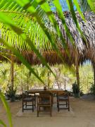 Top Troncones Top Troncones