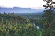 Top Cle Elum Top Cle Elum