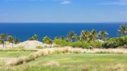 Top Waimea