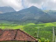 Top Suryanelli